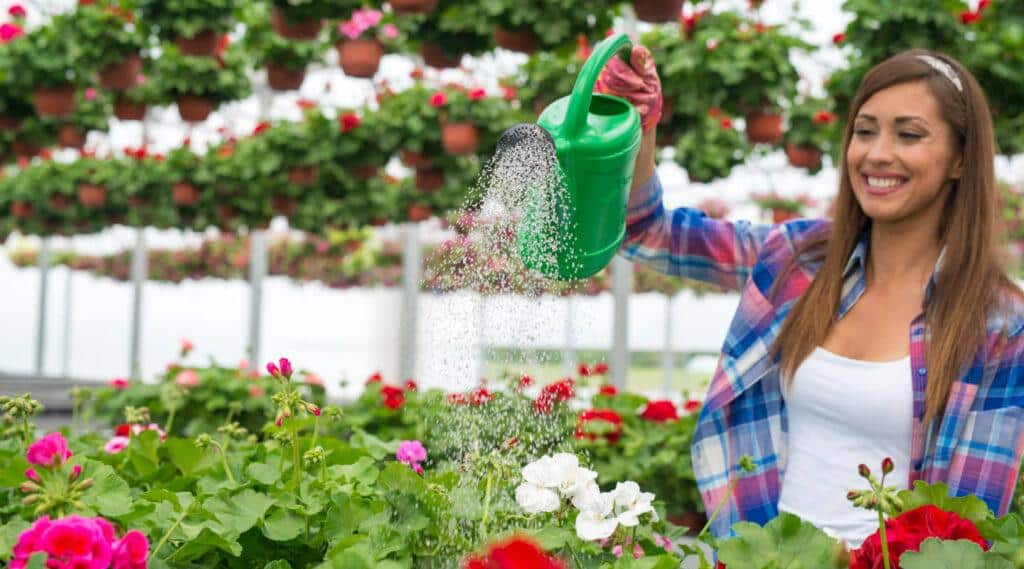 A Importância da Irrigação do Jardim